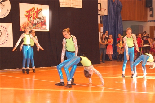 Obrázek v galerii