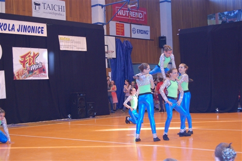 Obrázek v galerii