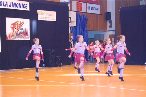 Obrázek v galerii