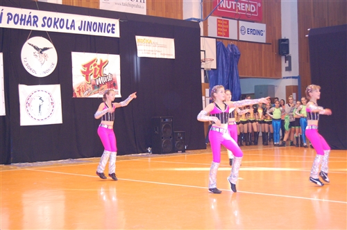 Obrázek v galerii