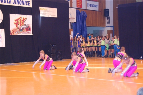 Obrázek v galerii