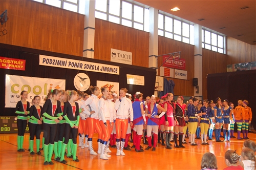Obrázek v galerii