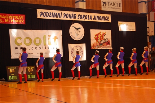 Obrázek v galerii