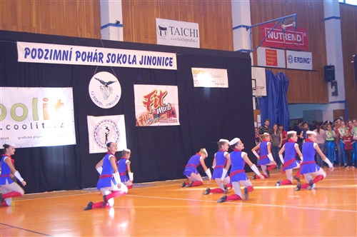 Obrázek v galerii