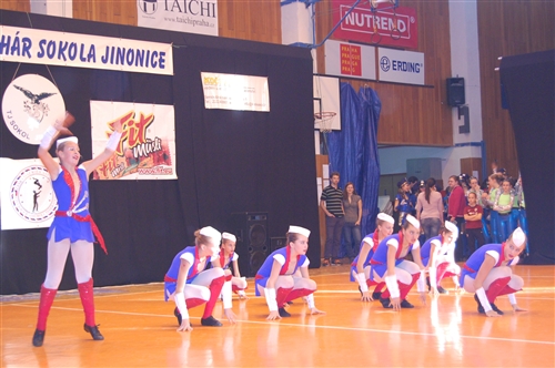 Obrázek v galerii