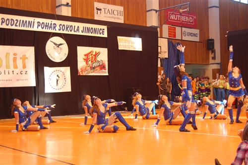 Obrázek v galerii