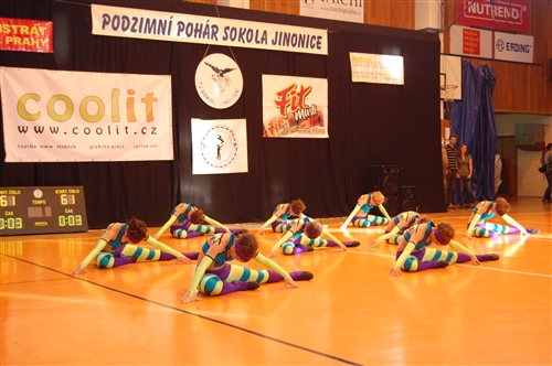 Obrázek v galerii