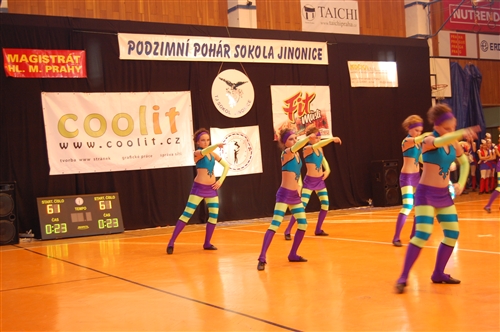 Obrázek v galerii