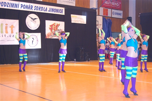 Obrázek v galerii