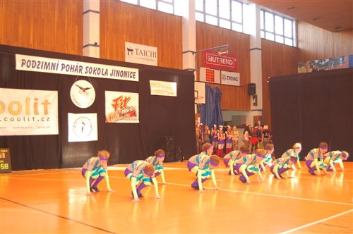 Obrázek v galerii