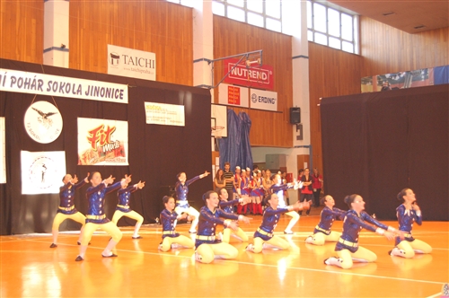 Obrázek v galerii
