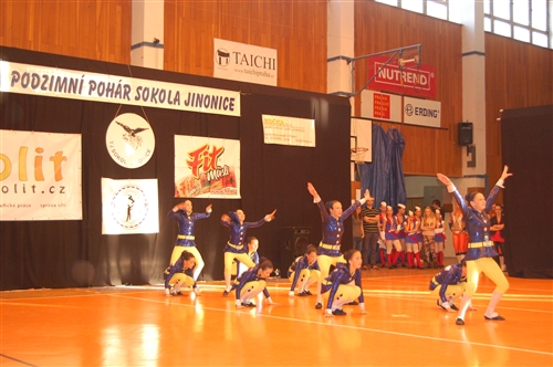 Obrázek v galerii