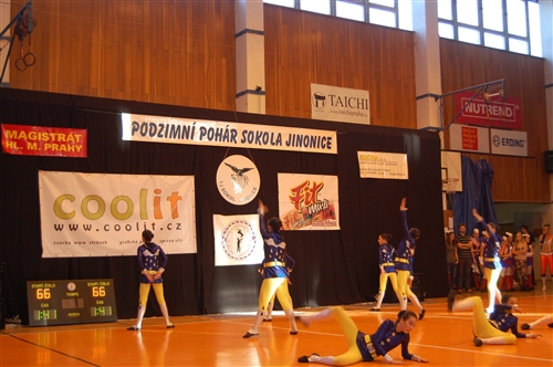 Obrázek v galerii