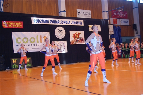 Obrázek v galerii