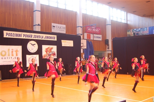 Obrázek v galerii