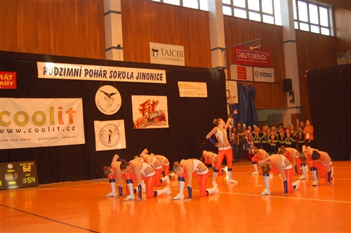 Obrázek v galerii