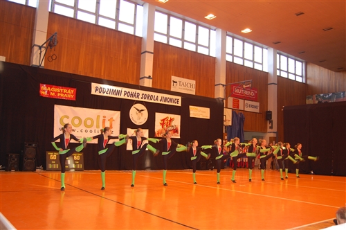 Obrázek v galerii