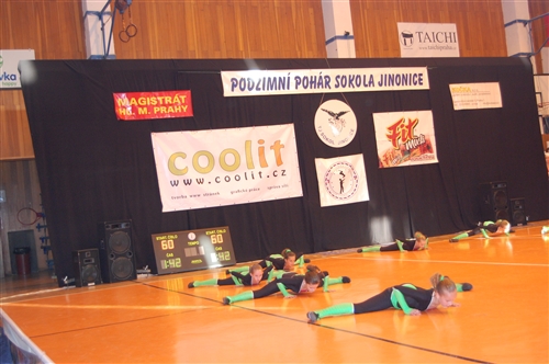 Obrázek v galerii