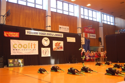 Obrázek v galerii