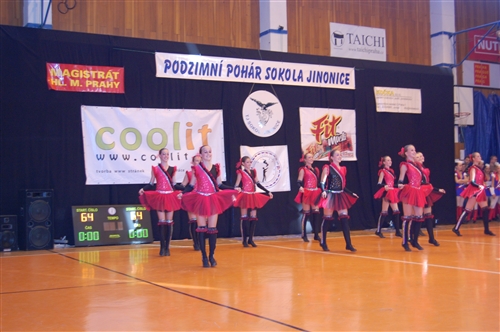 Obrázek v galerii