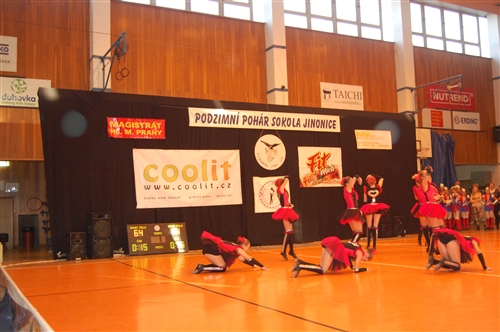 Obrázek v galerii