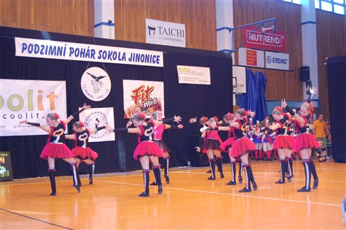 Obrázek v galerii