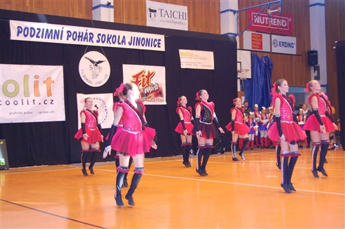 Obrázek v galerii