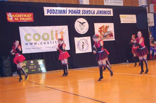 Obrázek v galerii