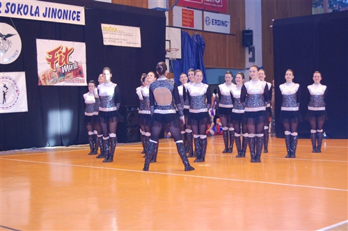 Obrázek v galerii