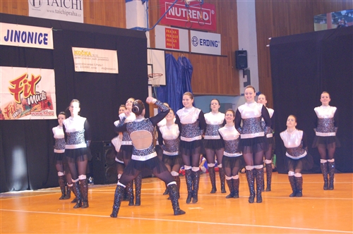 Obrázek v galerii