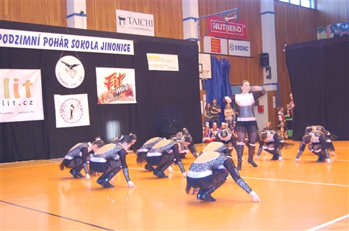 Obrázek v galerii