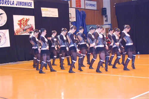 Obrázek v galerii