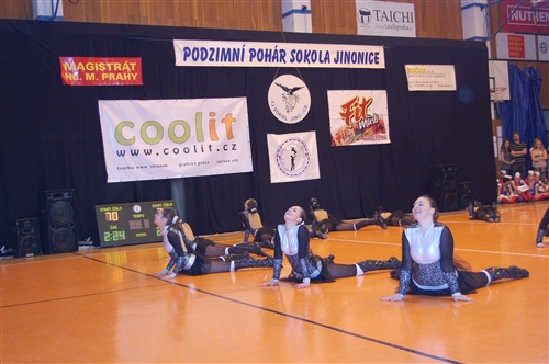 Obrázek v galerii