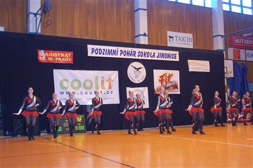 Obrázek v galerii