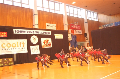 Obrázek v galerii
