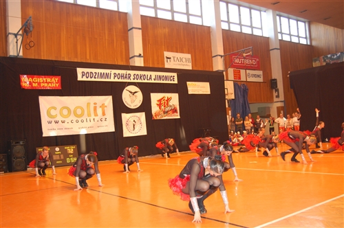 Obrázek v galerii
