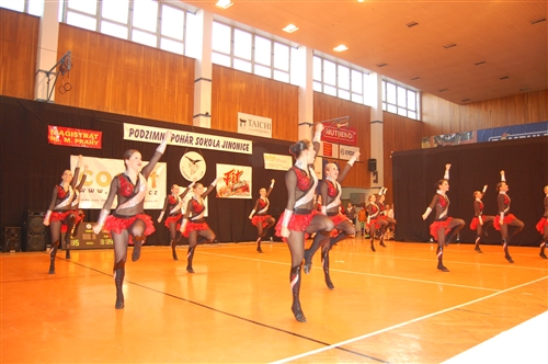 Obrázek v galerii