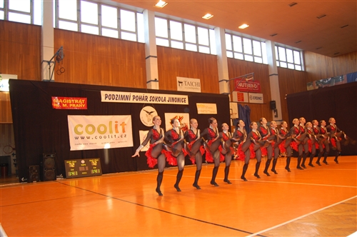 Obrázek v galerii