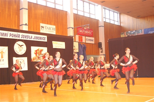 Obrázek v galerii