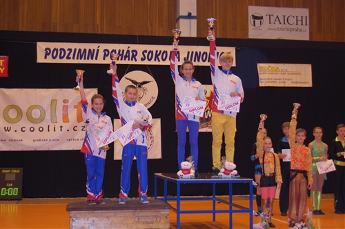 Obrázek v galerii
