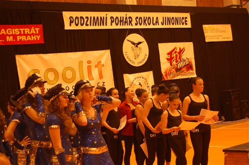 Obrázek v galerii