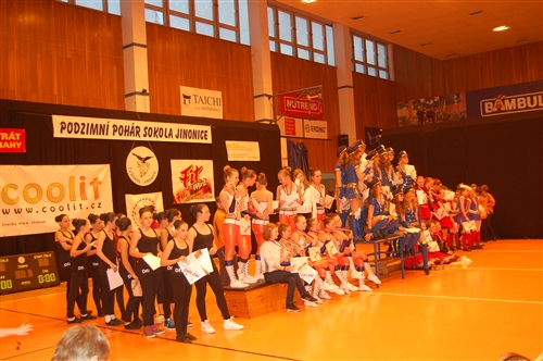 Obrázek v galerii