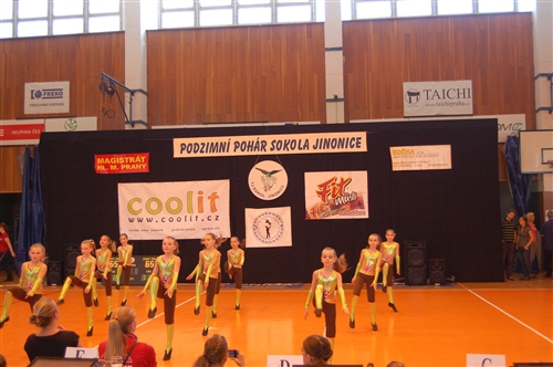 Obrázek v galerii