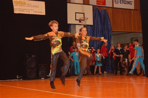 Obrázek v galerii