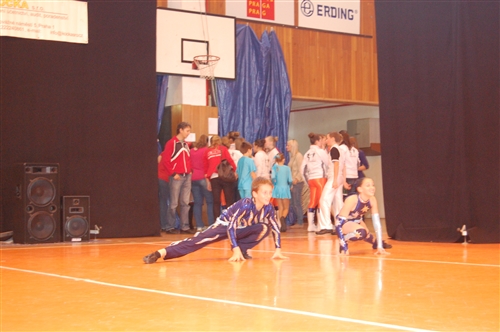 Obrázek v galerii