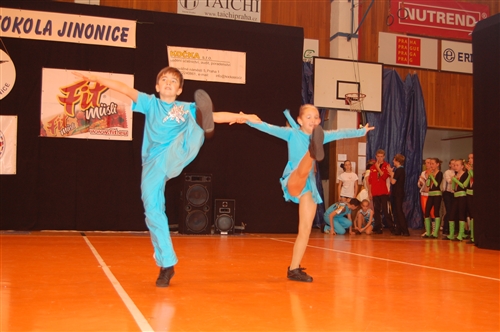 Obrázek v galerii