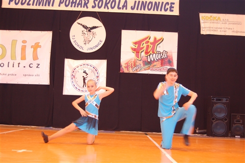 Obrázek v galerii