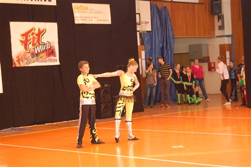 Obrázek v galerii
