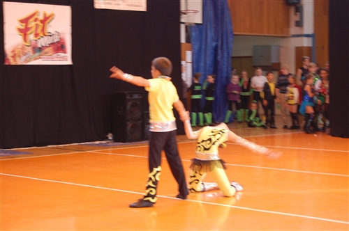 Obrázek v galerii