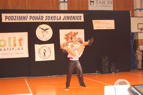 Obrázek v galerii